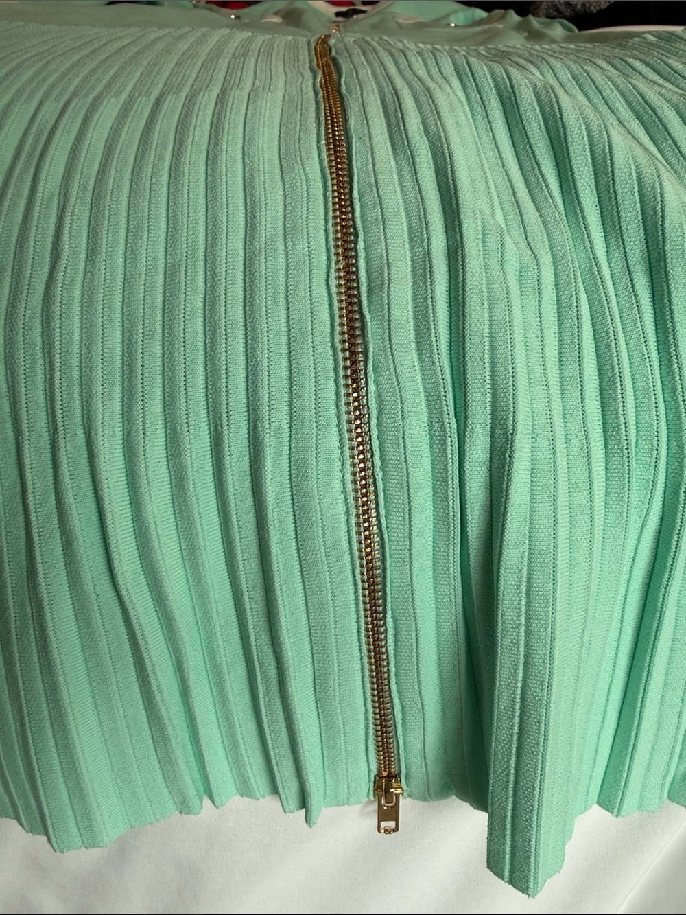 Aleeza Paris NWT Jelly Mint Green L (fitted M) Zip Front  with White Trim - Picture 8 of 10